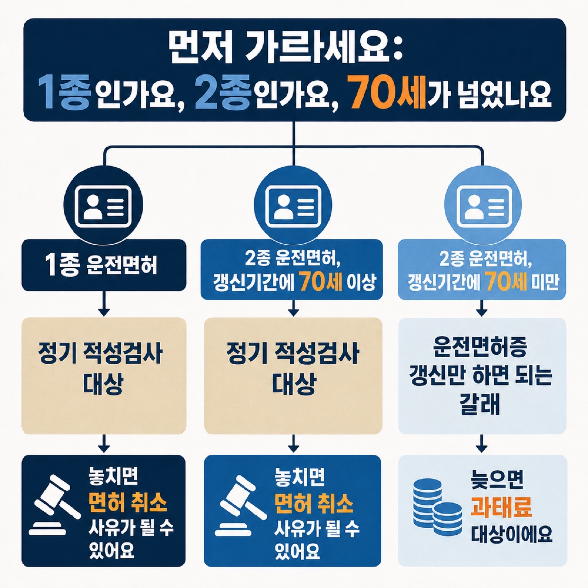 운전면허 갈래 그림 — 1종 면허와 갱신기간에 70세 이상인 2종 면허는 정기 적성검사 대상이라 놓치면 면허 취소 사유가 될 수 있고, 70세 미만 2종 면허는 면허증 갱신만 하면 되는 갈래라 늦으면 과태료 대상이라고 세 줄기로 나눠 보여 준다