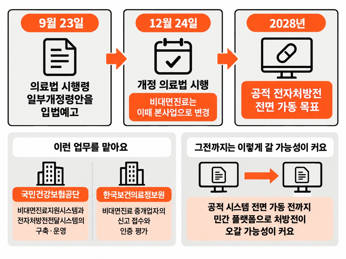 9월 23일 의료법 시행령 입법예고, 12월 24일 개정 의료법 시행과 비대면진료 본사업 전환, 2028년 공적 전자처방전 전면 가동 목표로 이어지는 세 단계와 건보공단·한국보건의료정보원이 맡는 업무를 정리한 그림